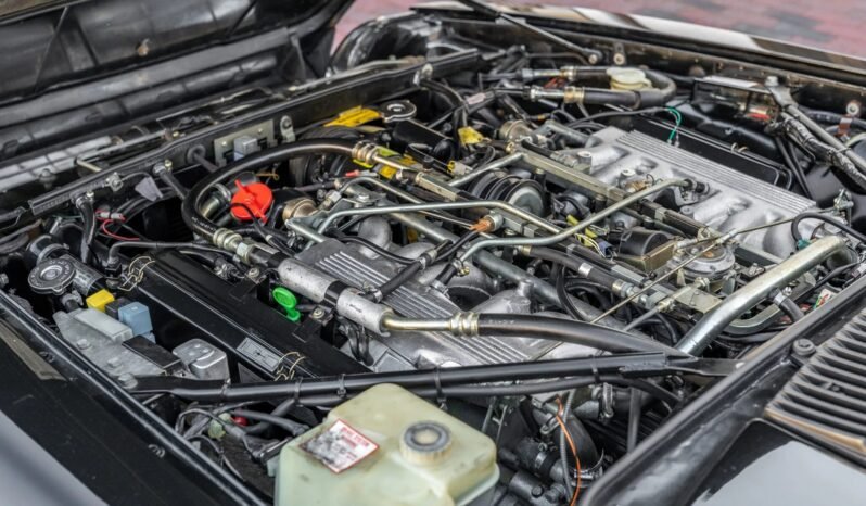 
								1991 Jaguar XJS Convertible V12 full									