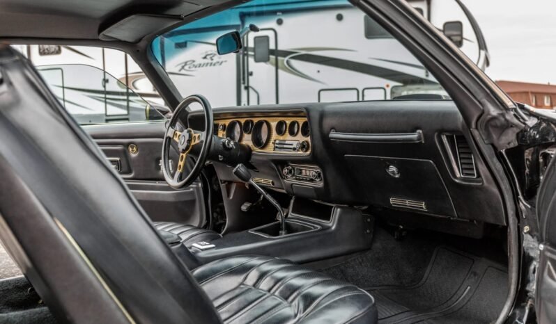 
								1976 Pontiac Firebird Trans AM Y82 full									