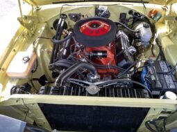 
										1969 Dodge Charger R/T full									