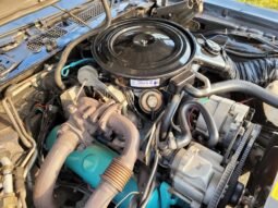 1980 Pontiac Firebird Turbo Trans AM