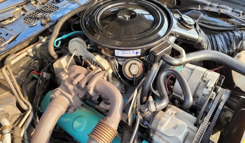 
								1980 Pontiac Firebird Turbo Trans AM full									