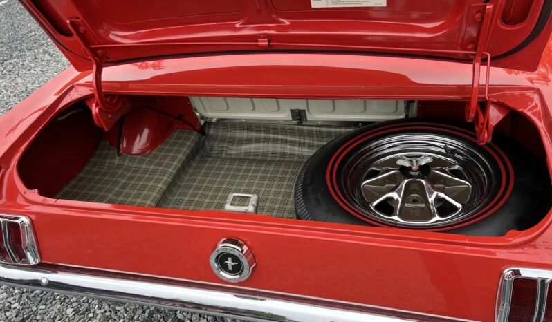 
								1965 Ford Mustang Fastback Red full									