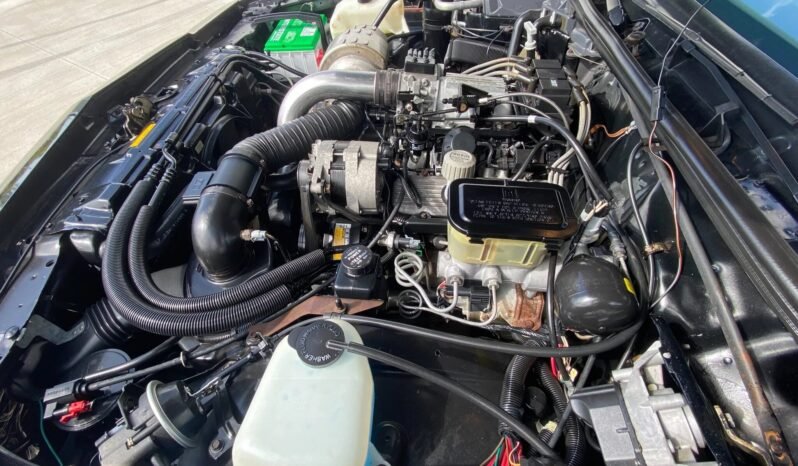 
								1987 Buick Grand National Turbo V6 full									