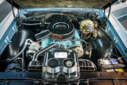 
										1965 Pontiac Tempest Custom full									