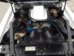 
										1974 Pontiac Firebird Trans AM 455 V8 full									