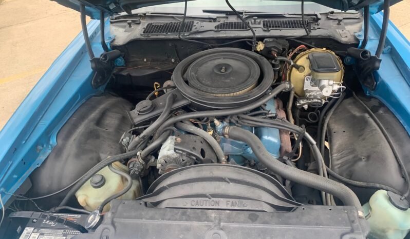 
								1981 Chevrolet Camaro Z28 full									