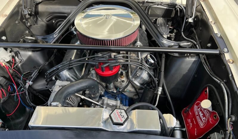 
								1963 Ford Falcon Futura full									