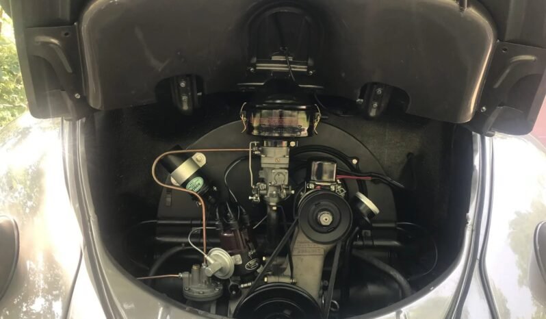 
								1959 Volkswagen Beetle Convertible full									