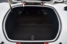 
										1965 Backdraft Racing Shelby Cobra V8 Roadster full									