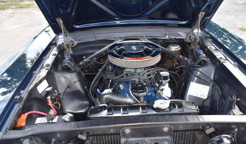 
								1966 Ford Mustang GT full									