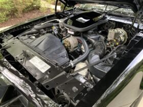 1979 Pontiac Firebird Trans Am Special Edition V8