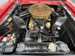 
										1965 Ford Mustang Fastback Red full									
