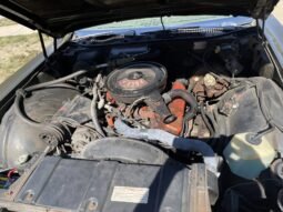 
										1969 Buick Electra 225 Custom full									