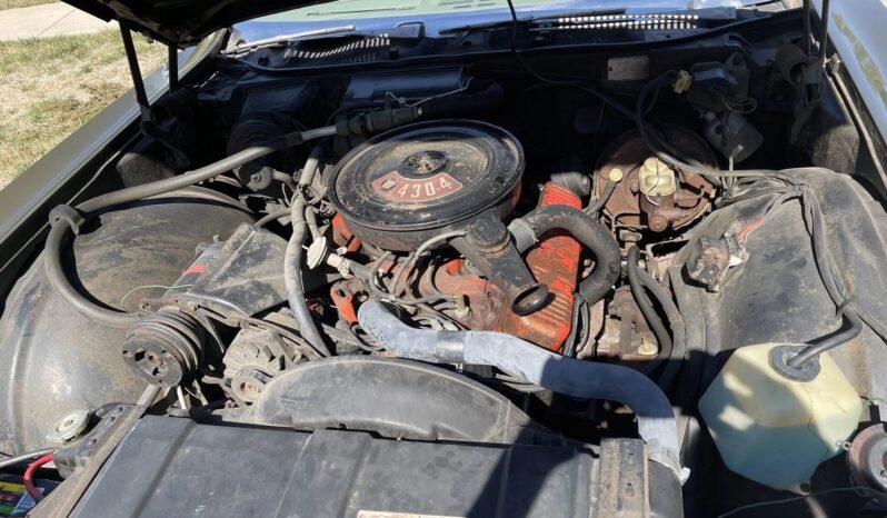 
								1969 Buick Electra 225 Custom full									