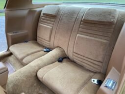 
										1978 Pontiac Firebird Trans AM 400 W72 V8 full									