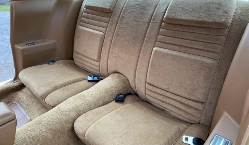 
								1978 Pontiac Firebird Trans AM 400 W72 V8 full									