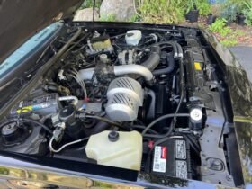 1987 Buick GNX