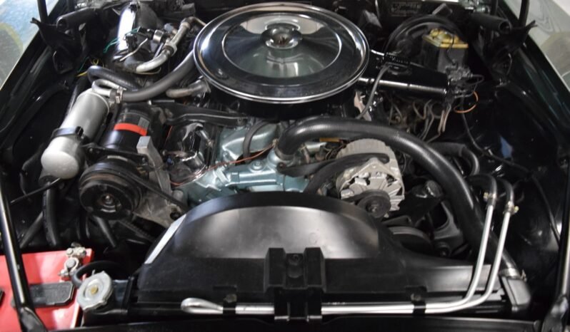 
								1969 Pontiac Firebird 400 V8 full									