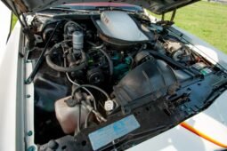 
										1977 Pontiac LeMans Can AM Sport Coupe full									