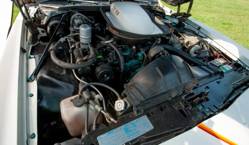 
								1977 Pontiac LeMans Can AM Sport Coupe full									