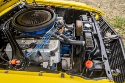 
										1970 Ford Mustang Boss Numbers-Matching full									