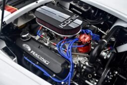 
										1965 Backdraft Racing Shelby Cobra V8 Roadster full									