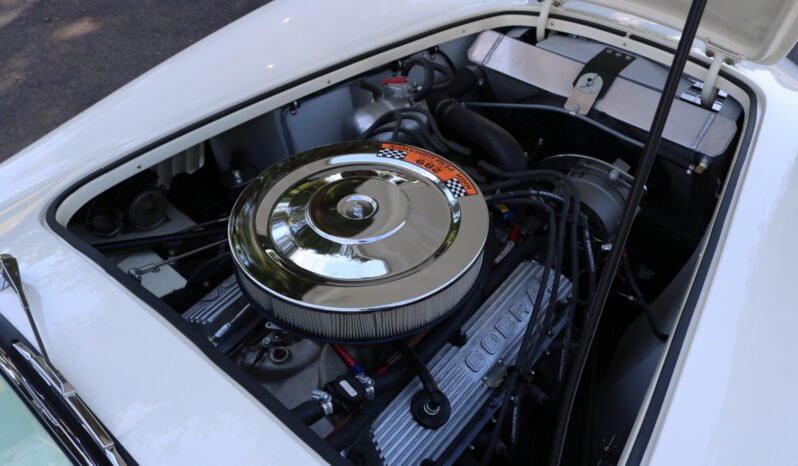 
								1965 Shelby Cobra CSX8000 full									