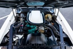 
										1974 Pontiac Firebird Trans AM SD-455 full									