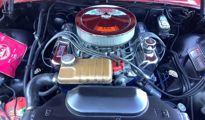 
								1962 Ford Galaxie 500XL full									