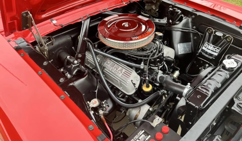 
								1965 Ford Mustang GT Fastback full									