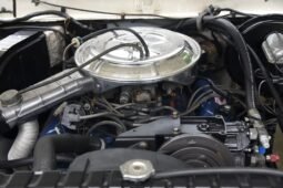 
										1978 Ford Bronco Ranger XLT White full									