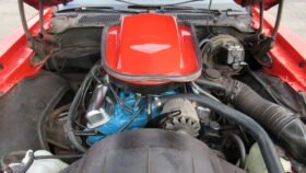 1977 Pontiac Firebird Trans AM