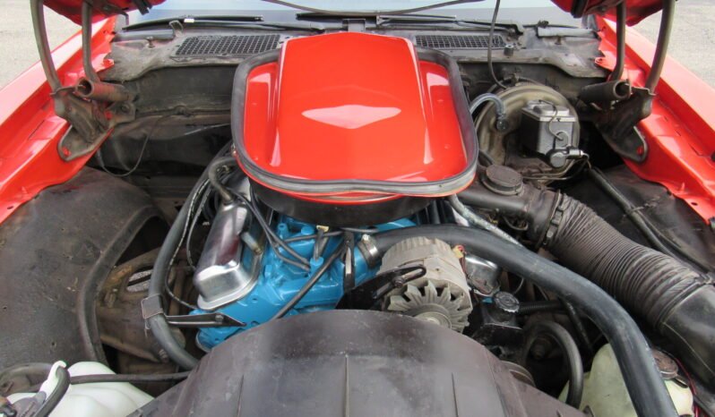 
								1977 Pontiac Firebird Trans AM full									