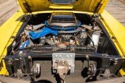 
										1970 Ford Mustang Mach 1 full									