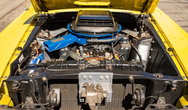 
								1970 Ford Mustang Mach 1 full									