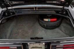 
										1976 Pontiac Firebird Trans AM Y82 full									