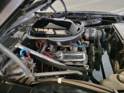 
										1978 Pontiac Firebird Trans AM WS6 full									