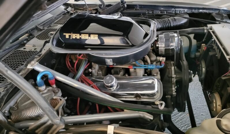 
								1978 Pontiac Firebird Trans AM WS6 full									