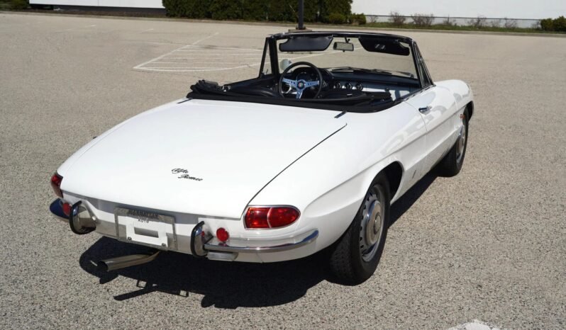 
								1967 Alfa Romeo Spider Duetto 1.6L full									