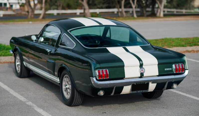 
								1966 Shelby Mustang GT350 289CI V8 full									