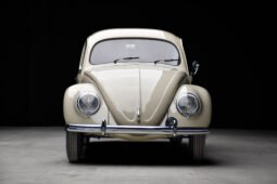 1951 Volkswagen Beetle Split-Window
