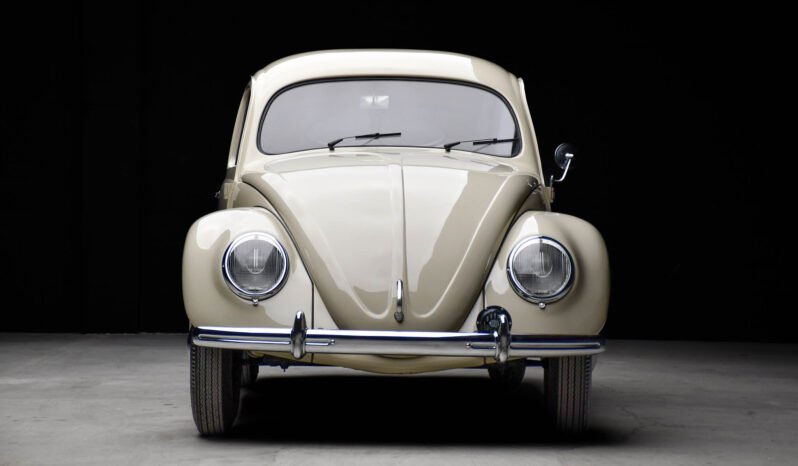 
								1951 Volkswagen Beetle Split-Window full									