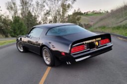 1978 Pontiac Firebird Trans AM WS6