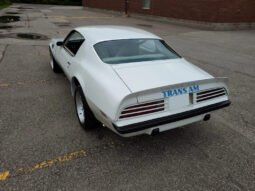 
										1974 Pontiac Firebird Trans AM 455 V8 full									
