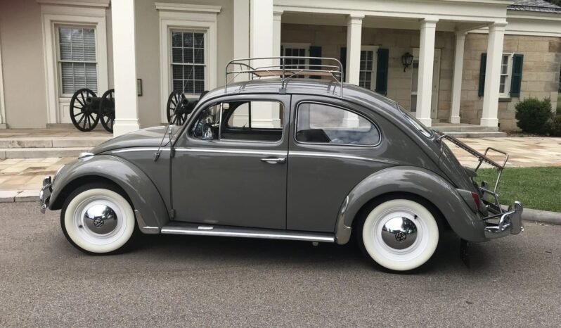 
								1963 Volkswagen Beetle full									