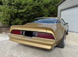 
										1978 Pontiac Firebird Trans AM Gold full									