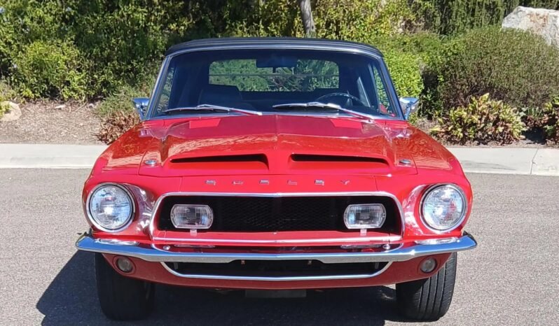 
								1968 Shelby Mustang GT500KR Candyapple Red full									