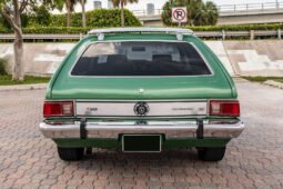 
										1973 AMC Hornet X Gucci full									