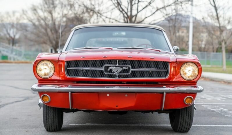 
								1964 Ford Mustang Convertible full									