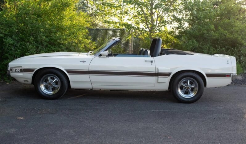 
								1969 Shelby Mustang GT500 full									